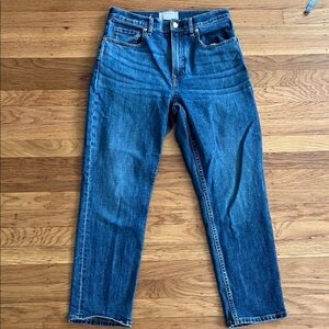 Everlane The High Rise Straight Leg Jeans in Blue